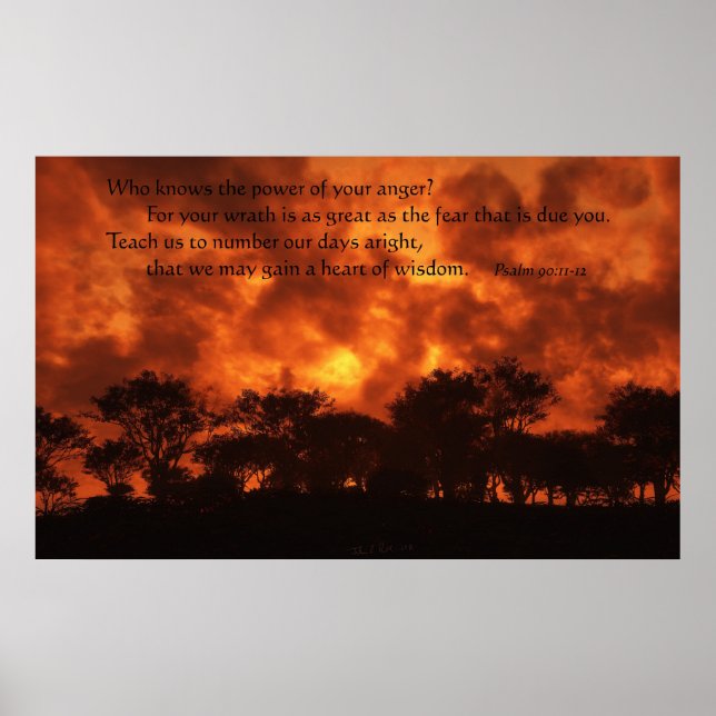 Affiches Pouvoir de la colère (Devant)