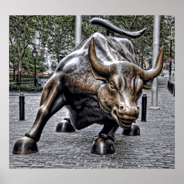 Affiches Power of the bull (Devant)