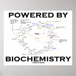 Affiches Powered By Biochemistry
