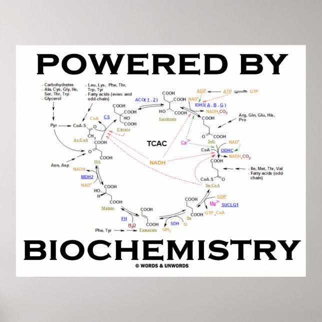 Affiches Powered By Biochemistry (Devant)