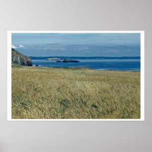 Affiches Prairie de mer