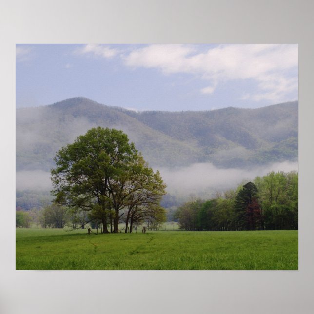 Affiches pré et montagne riche, Cades Cove, (Devant)
