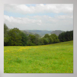 Affiches Pré vert. Paysage de campagne