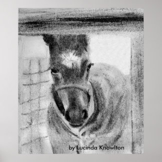 Affiches Première fois, par Lucinda Knowlton