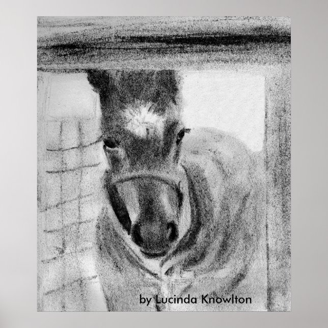 Affiches Première fois, par Lucinda Knowlton (Devant)