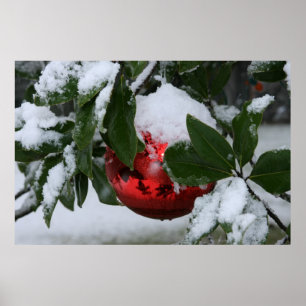 Affiches première neige