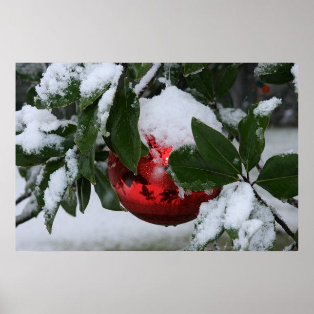 Affiches première neige (Devant)