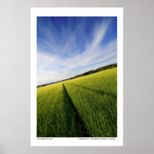 Affiches Préparation