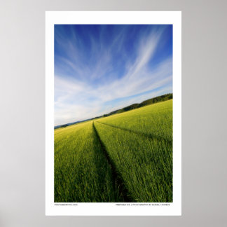 Affiches Préparation