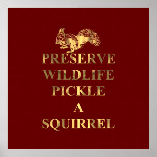 Affiches Préserver le cornichon sauvage un écureuil