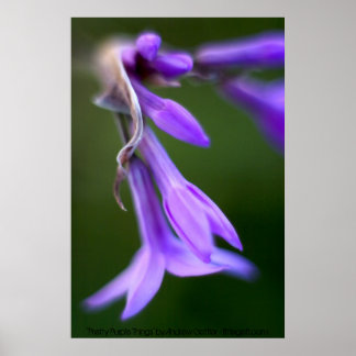 Affiches "Pretty Purple Things" par Andrew Gettler