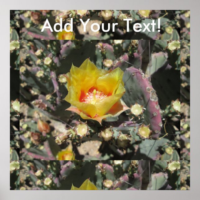 Affiches Prickly Pear Black Spined (Devant)
