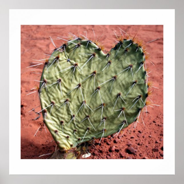 Affiches Prickly Pear Heart (Devant)