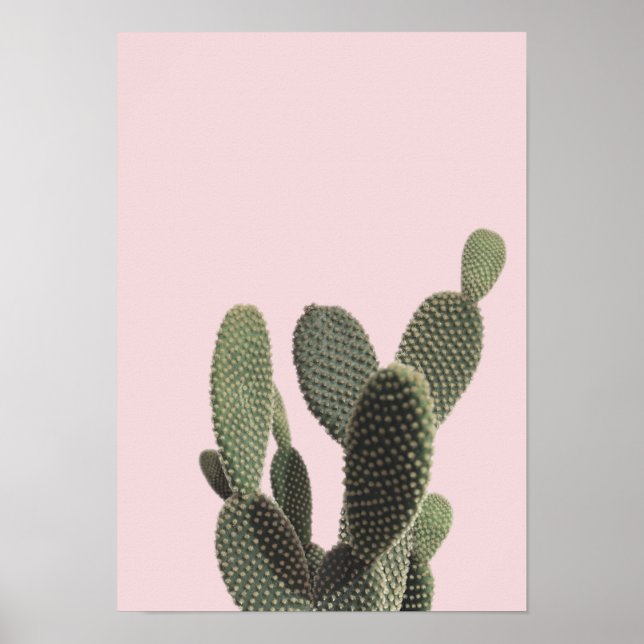 Affiches Pricky Pear Cactus and Pink (Devant)