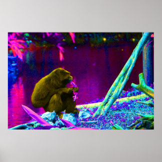 Affiches Primate mangeant des légumes verts sur le bord de