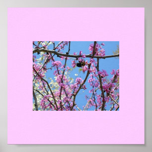 Affiches Printemps…