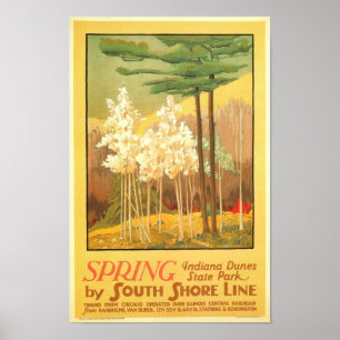 Affiches Printemps dans le parc d'état des dunes d'Indiana