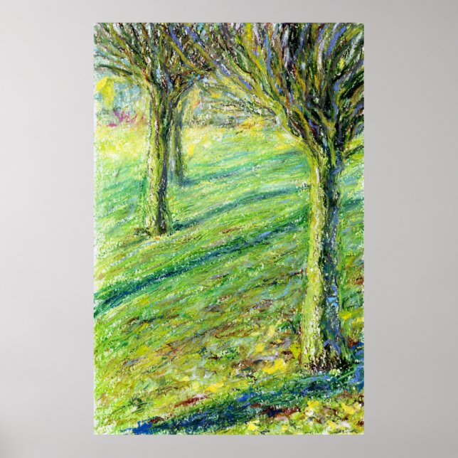 Affiches Printemps dans le West Park, Long Eaton (imprimer) (Devant)