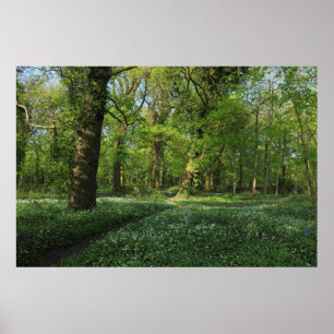 Affiches Printemps dans les Bois, Bute Park, Cardiff