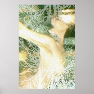 Affiches Printemps par Gregory Gallo