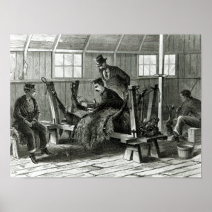 Affiches Prise du virus du veau