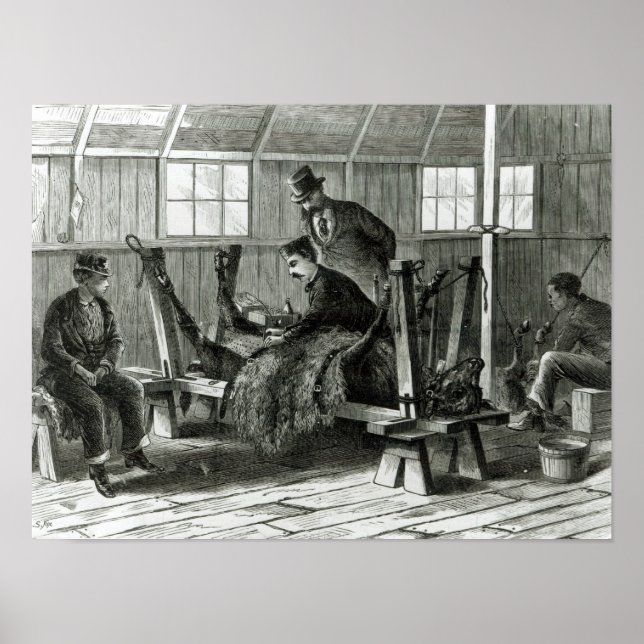 Affiches Prise du virus du veau (Devant)