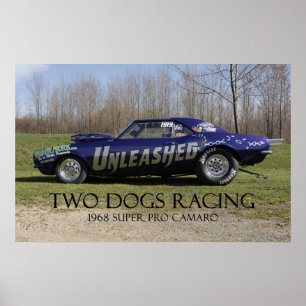Affiches Pro voiture superbe lâchée d'entrave