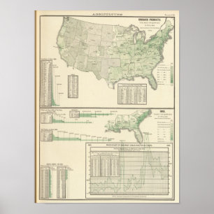 Affiches Produits et riz de verger