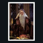 Affiches Professeur Dumbledore<br><div class="desc">Harry Potter et la Pierre du Sorcier</div>