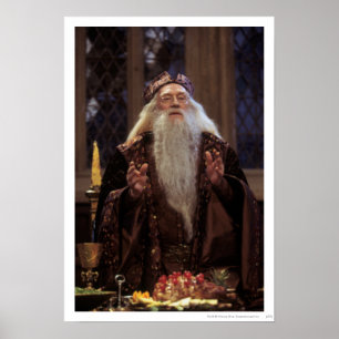 Affiches Professeur Dumbledore