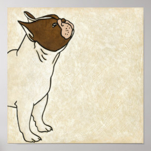 Affiches Profil de French Bulldog En tête