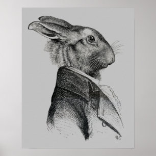 Affiches Profil de portrait de lapin