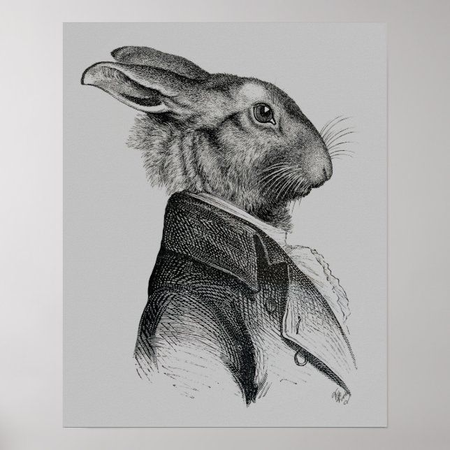 Affiches Profil de portrait de lapin (Devant)