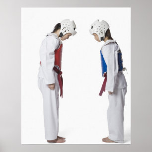 Affiches Profil latéral de deux joueurs taekwondo à la bott