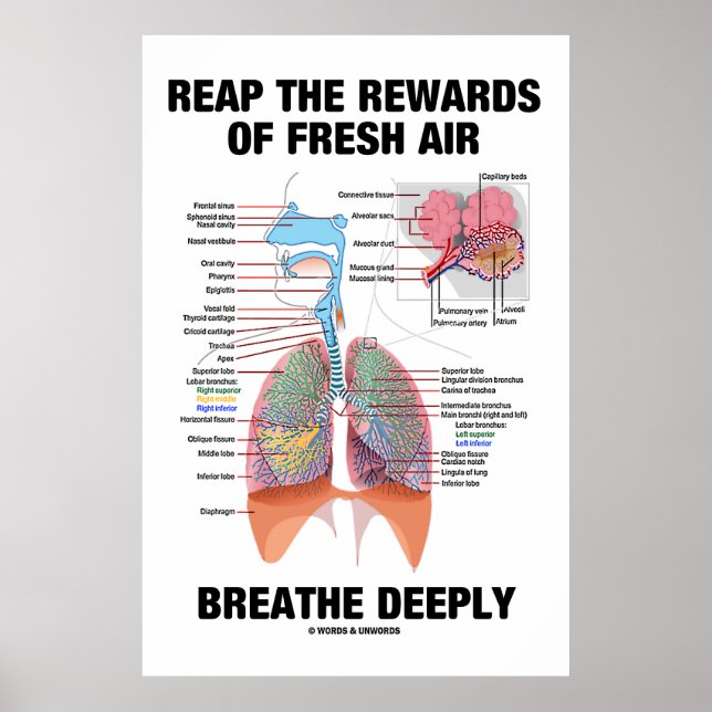 Affiches Profitez Des Récompenses D'Une Respiration Aérienn (Devant)