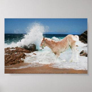 Affiches Projet De La Mer