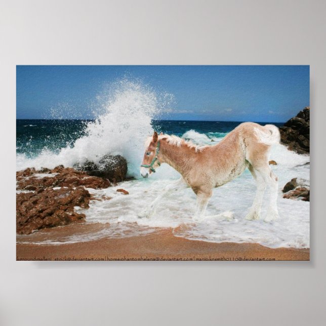 Affiches Projet De La Mer (Devant)