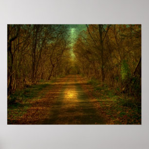 Affiches promenade au clair de lune