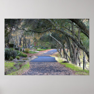 Affiches "Promenade d'automne"