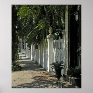 Affiches Promenade de Shady Charleston