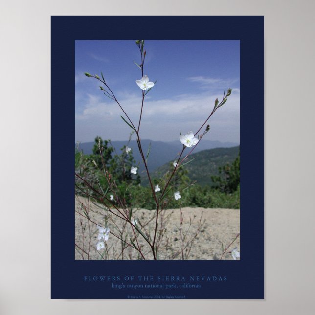 Affiches Propriétaires de la Sierra Nevadas (Devant)
