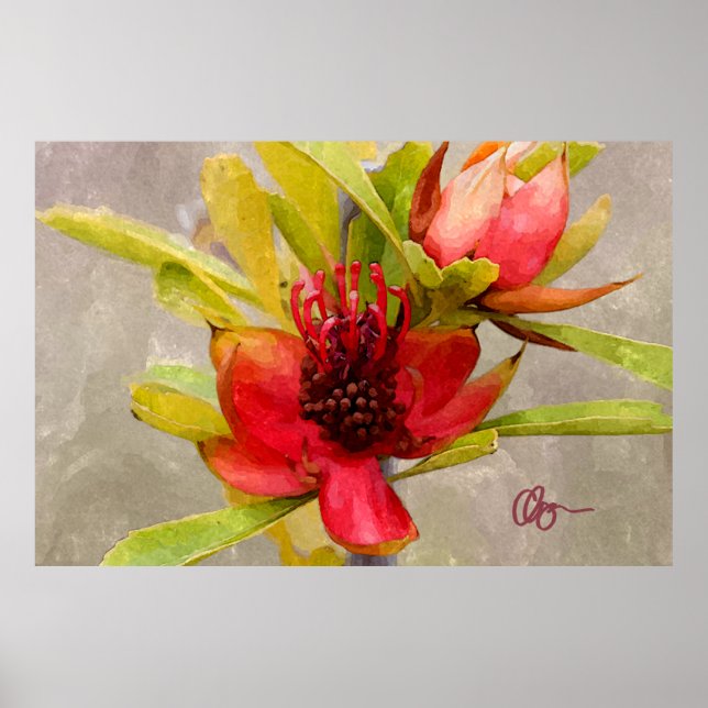 Affiches Protea Love (Devant)