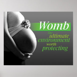 Affiches Protect the Womb