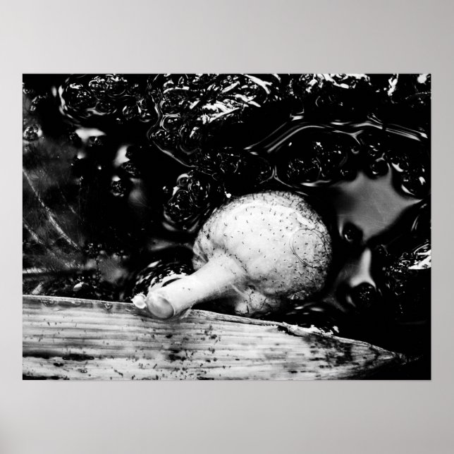 Affiches protecteur sombre (Devant)