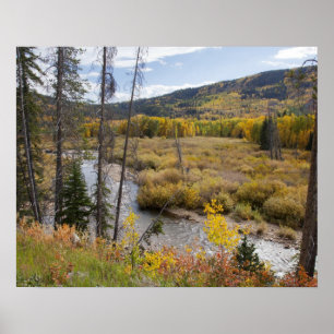Affiches Provo River et peupliers faux-trembles