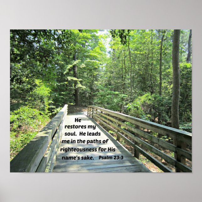 Affiches Psaume 23:3 Il restaure mon âme, Il me conduit dan (Devant)