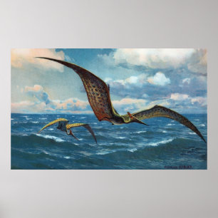 Affiches Pteranodon Antique Print