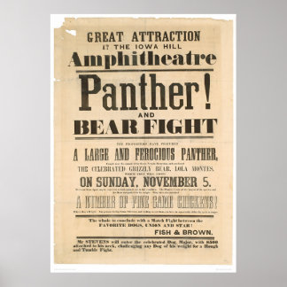 Affiches Publicité de lutte contre la panthère et l'ours (1