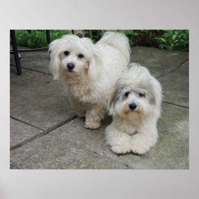 Affiches Puces à l'huile (Devant)