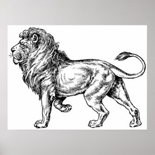 Affiches Puissante croquis Lion